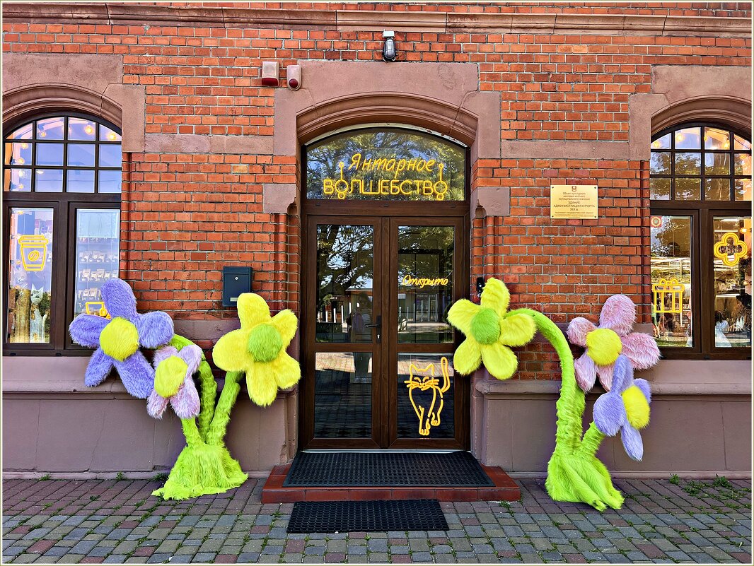 Прогулка по Зеленоградску. - Валерия Комова