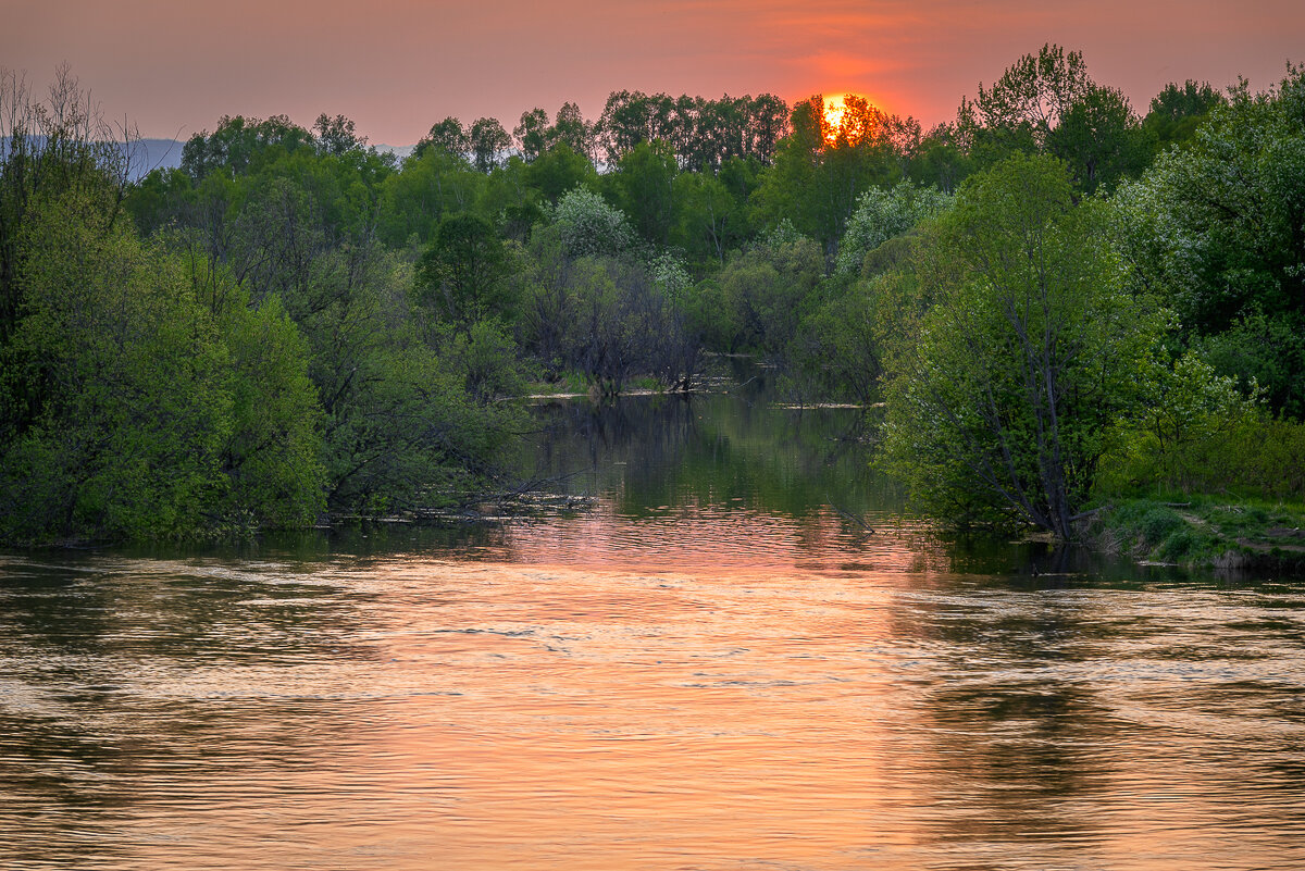 ... - Жора Житников