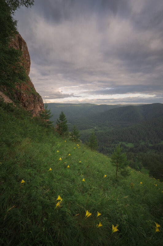 * - Александр Иванов * - Александр Иванов