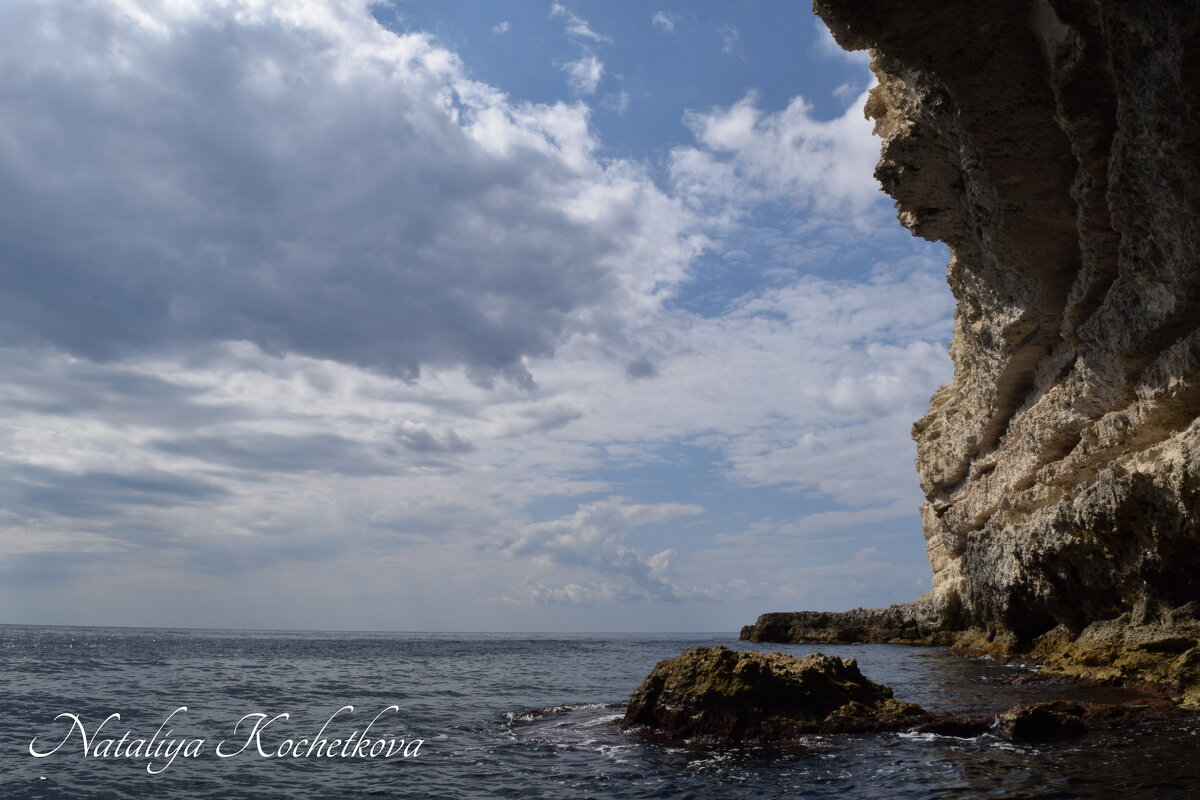 Природа Крыма - Amazing Cosmea