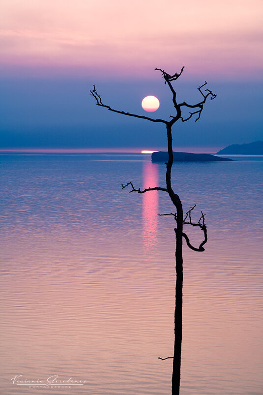 Дракон глотающий солнце 2 - Вениамин Скородумов
