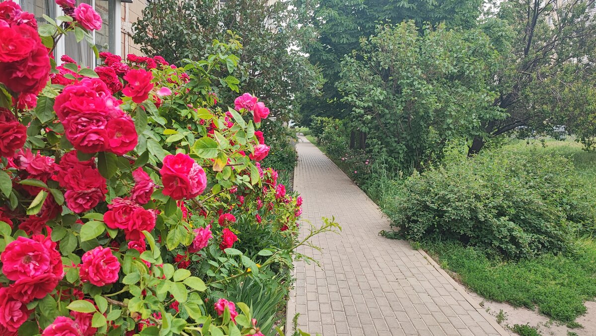 ,,, - Сергей Тимоновский