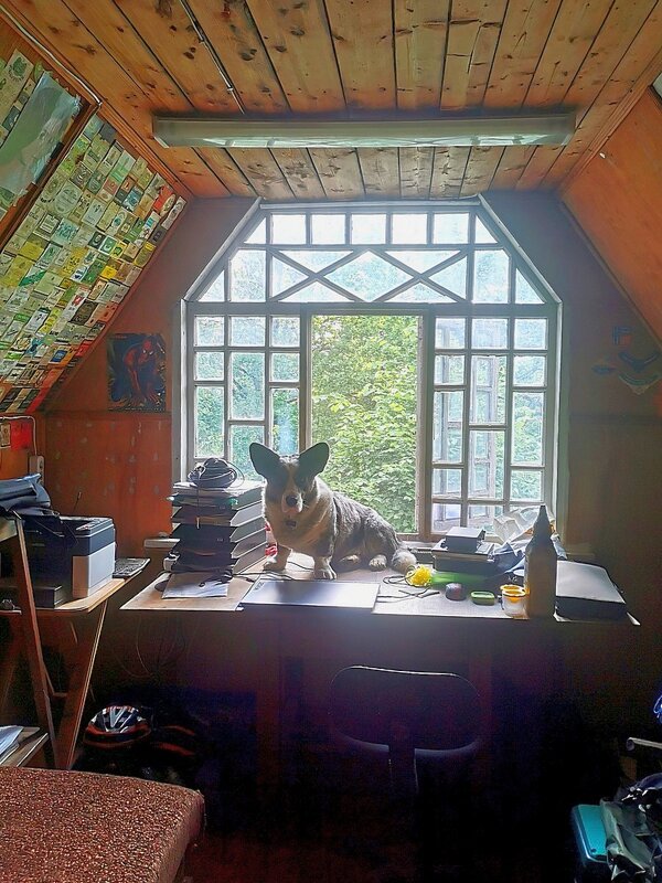 Хозяин - Ольга Довженко