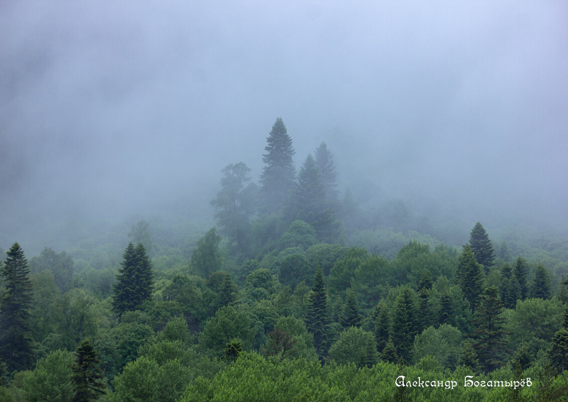 Аксаут - Александр Богатырёв