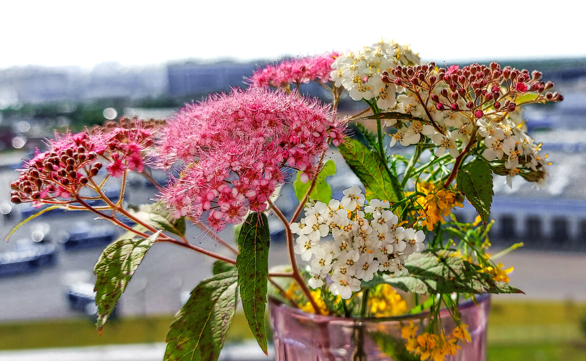 *** - Владимир Безбородов *** - Владимир Безбородов