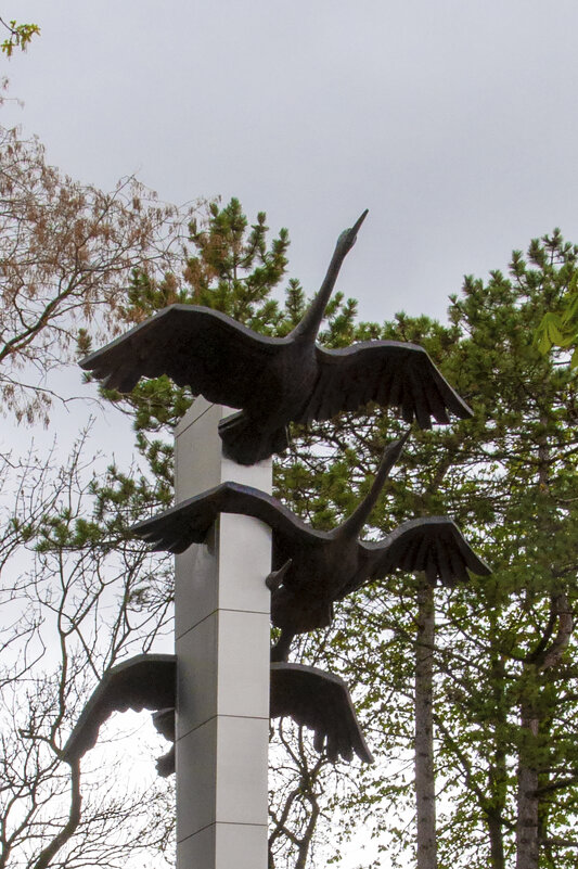 Журавли - Gen 