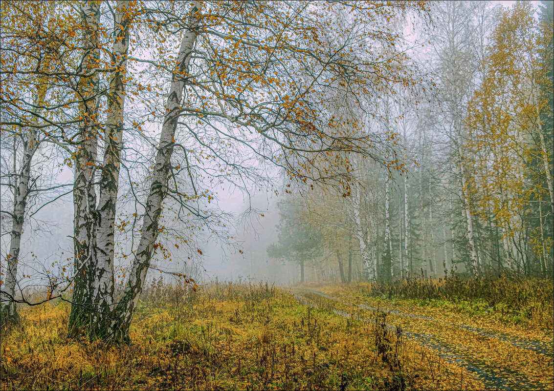 Тишина - александр 