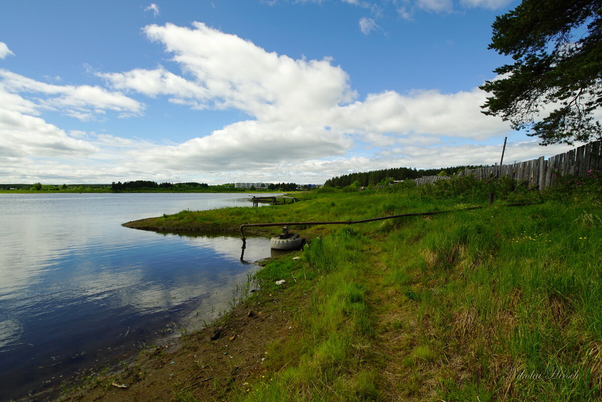 По Турье... - Николай Гирш