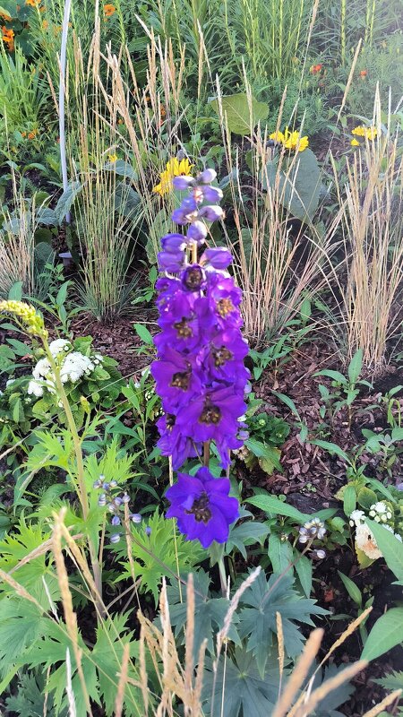 /// - Ольга /// - Ольга