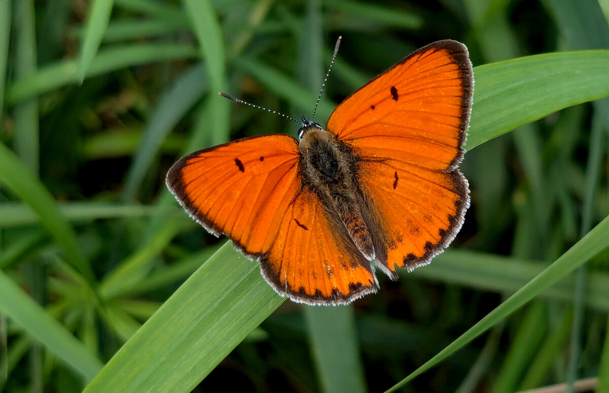 Из снятого вчера 3 - Александр Прокудин