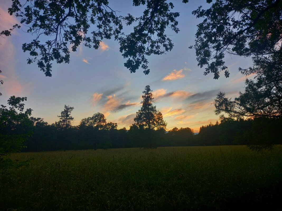 Закат - Сапсан 