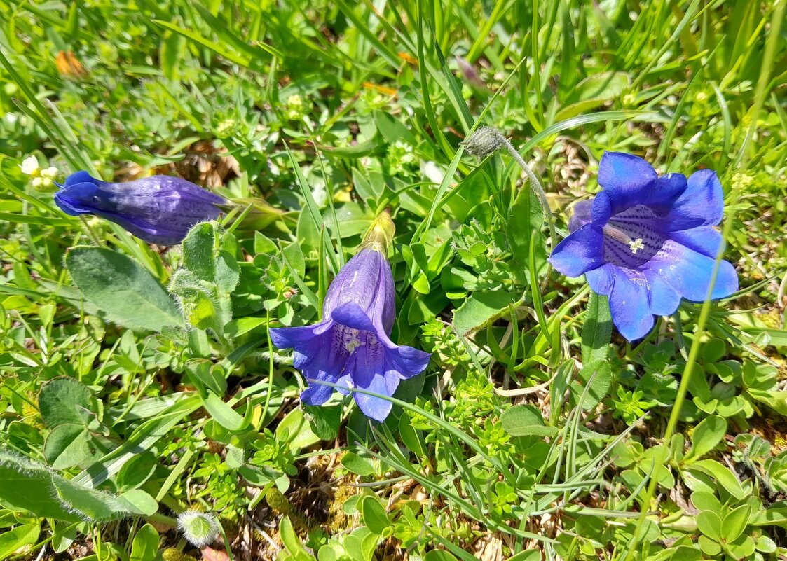 отвернулся и надулся - Olga 