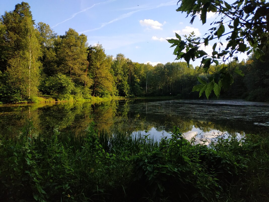 Пять прудов Измайловского парка - Андрей Лукьянов