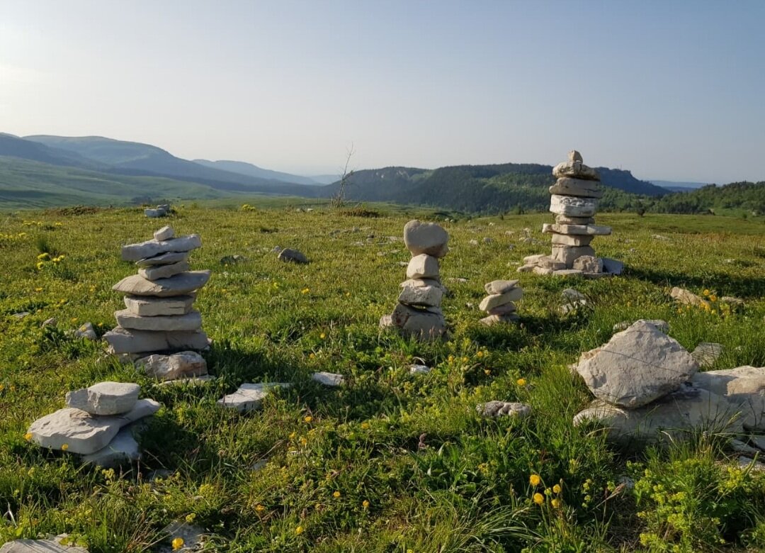 ПЛАТО ЛАГОНАКИ - Tata Wolf