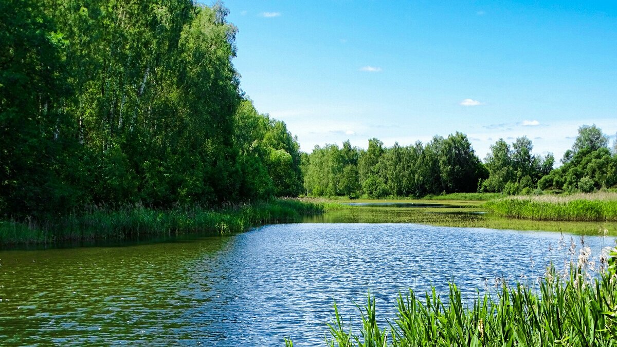 Лето на Смоленщине (репортаж из поездок по области). - Милешкин Владимир Алексеевич 