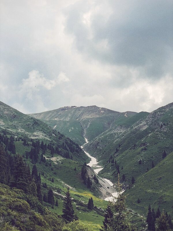 Горы зовут - Георгиевич 