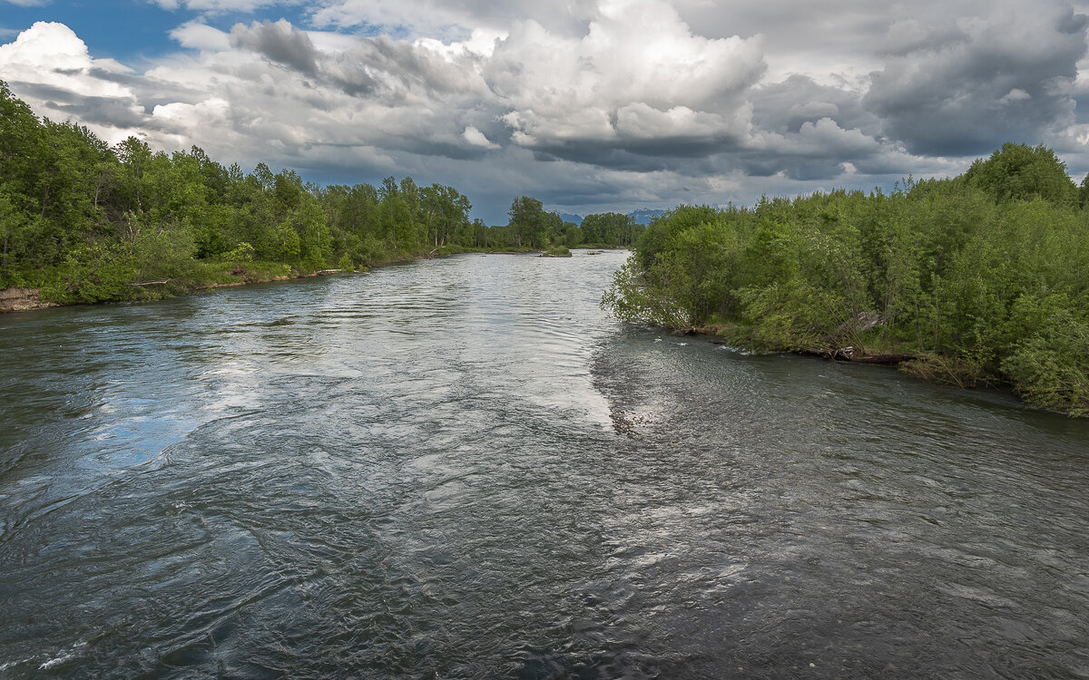 ... - Жора Житников