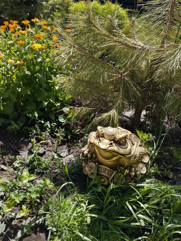 Ak Bulak.  Talgar. - Murat Bukaev 