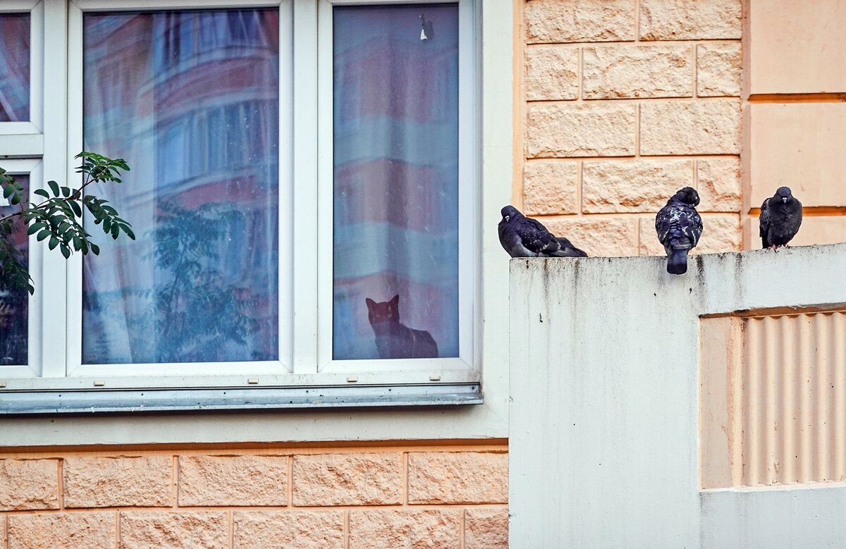 Видит око , да зуб неймёт - Валерий Иванович