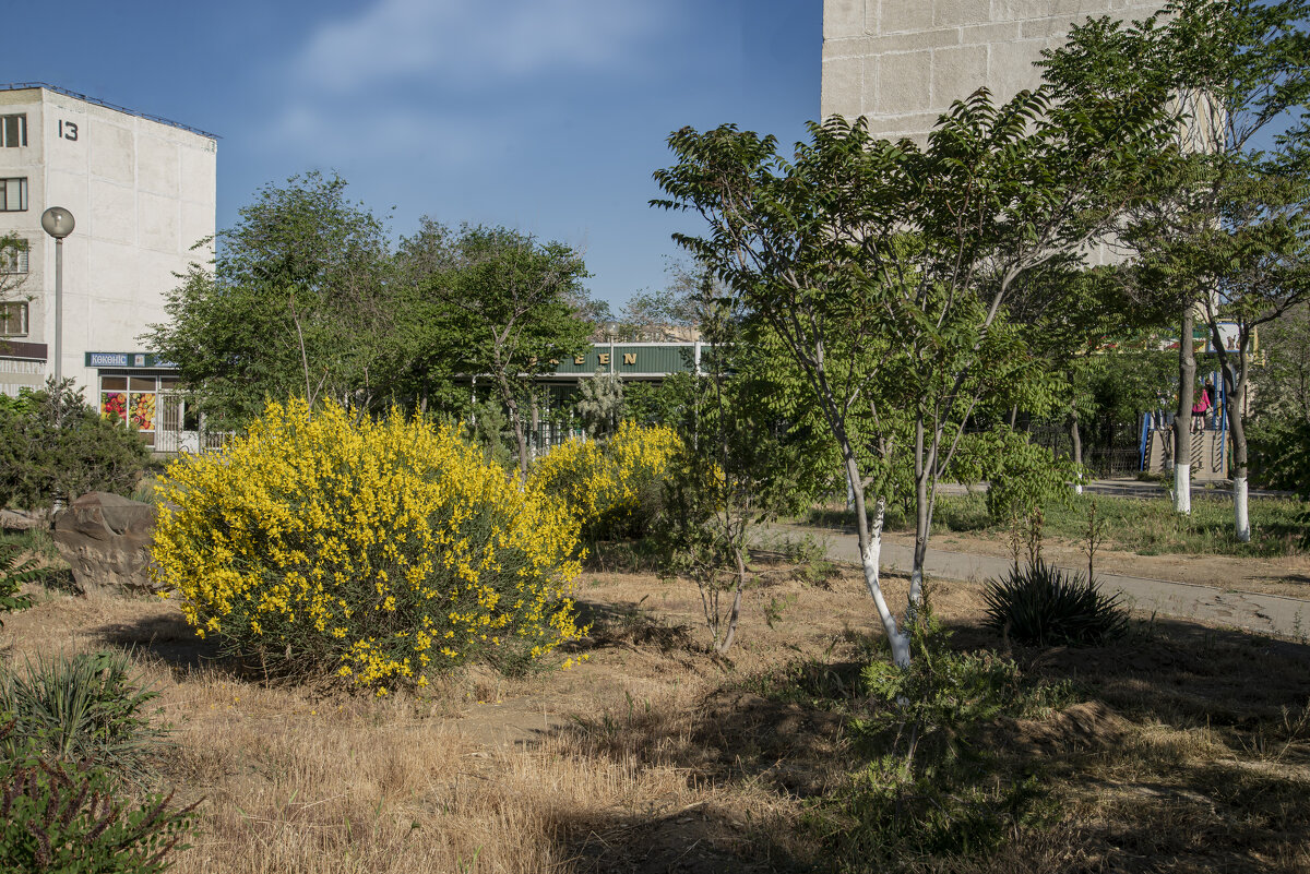Актау - Анатолий Чикчирный