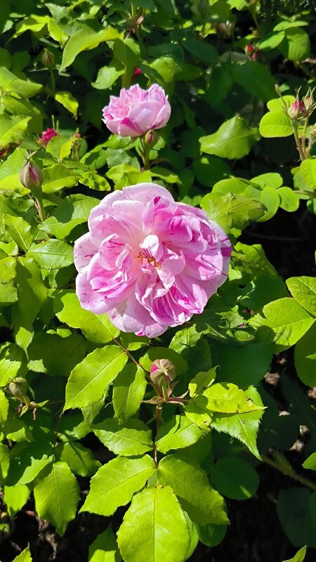 /// - Ольга /// - Ольга