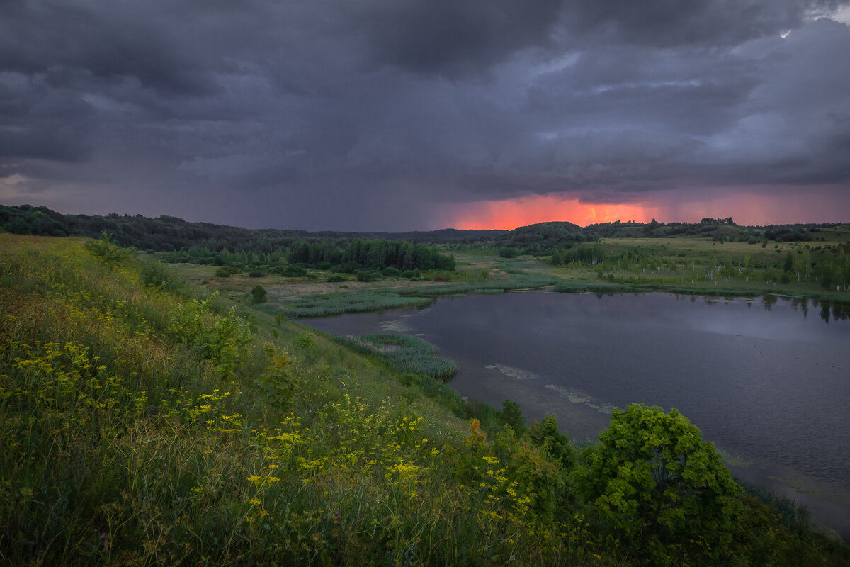 **** - Елизавета .