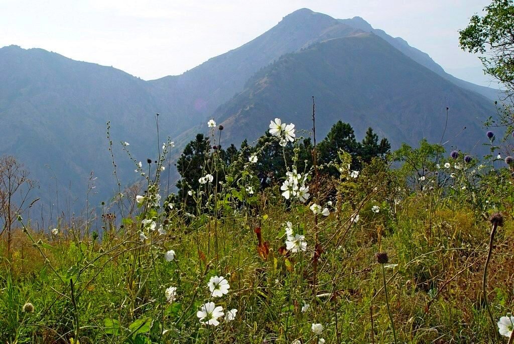 ПО ГОРАМ. - Виктор Осипчук ПО ГОРАМ. - Виктор Осипчук