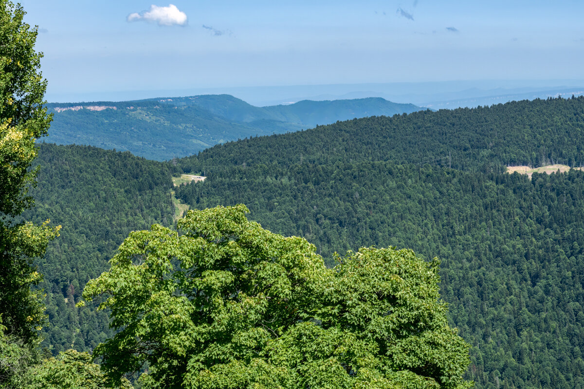 Адыгея - Игорь Сикорский