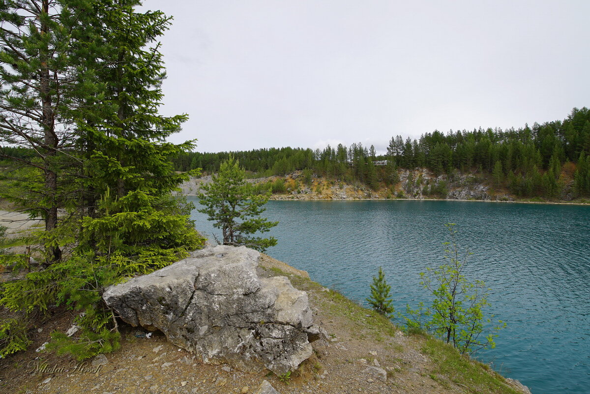 *** - Николай Гирш