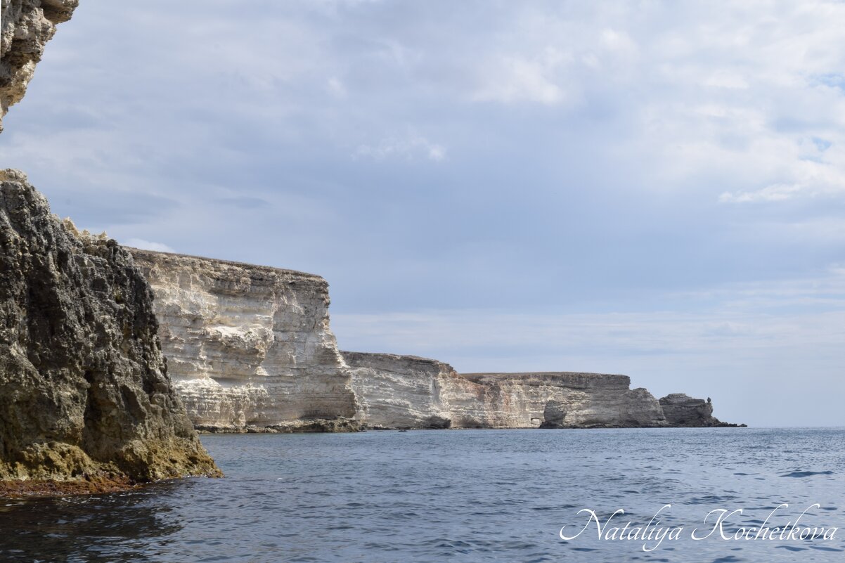 Природа Крыма - Amazing Cosmea