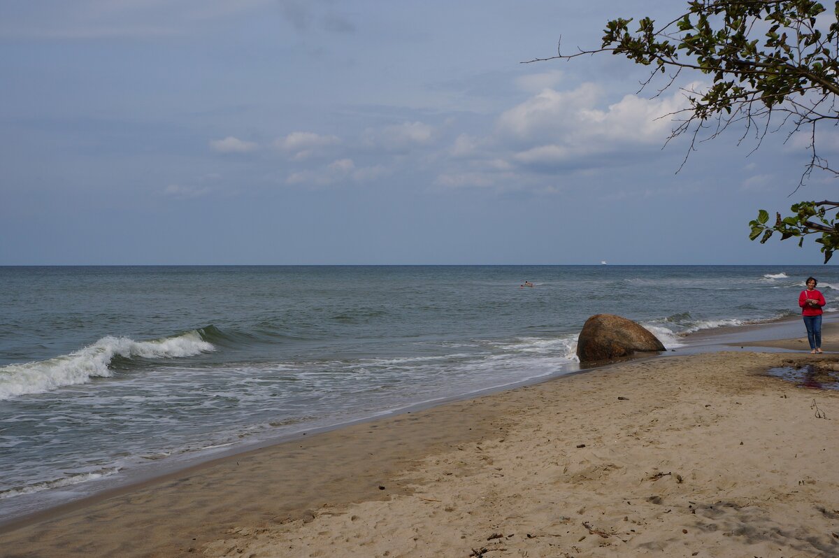 Прогулки по берегу моря...... - Алёна Савина Прогулки по берегу моря...... - Алёна Савина
