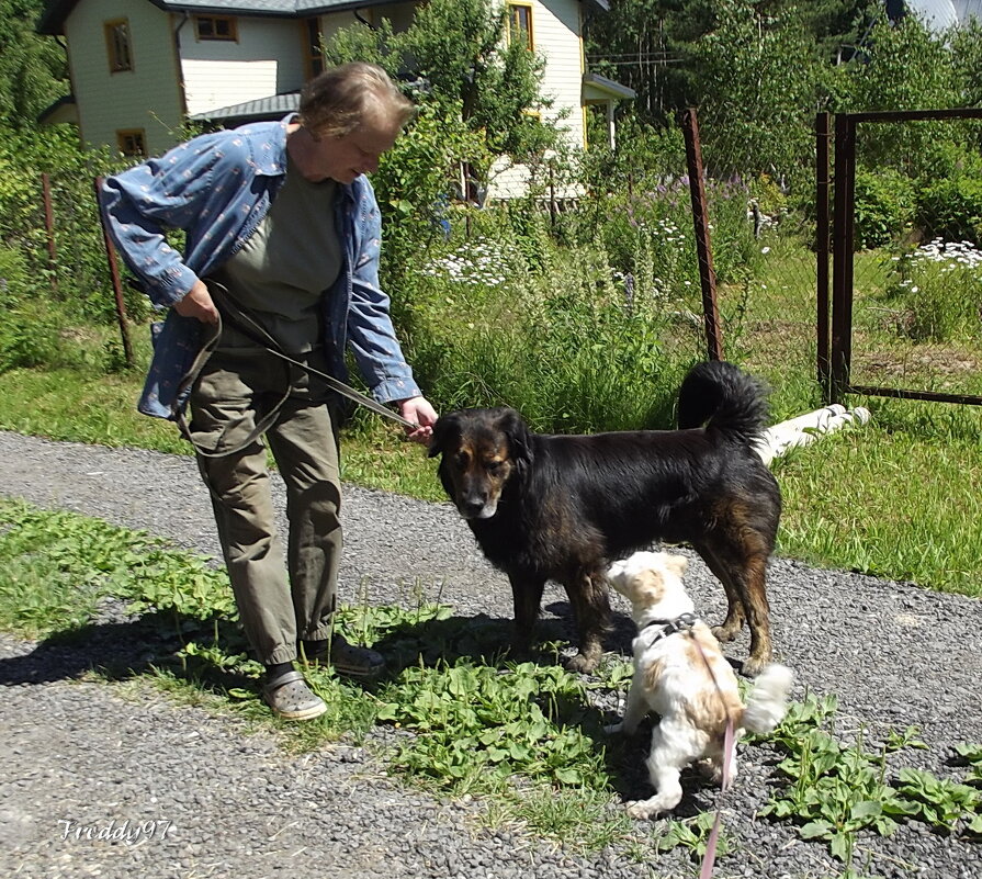 Встреча друзей - Freddy 97