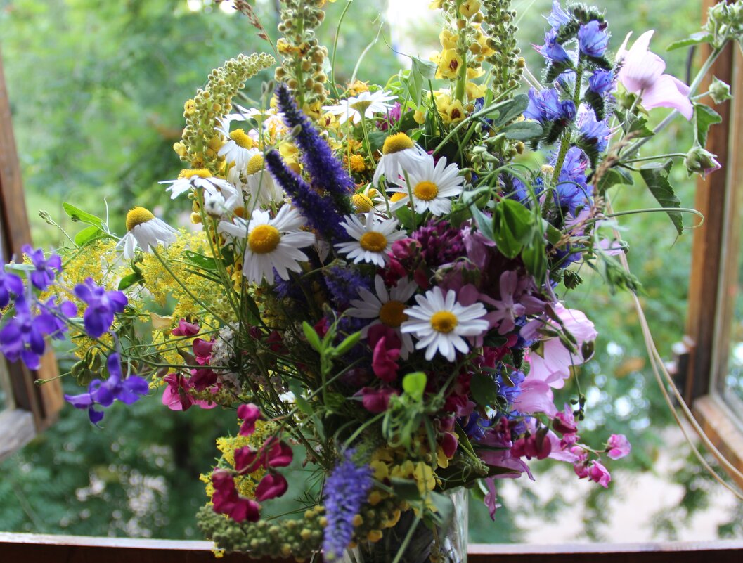 Полевые цветы. - Венера Чуйкова