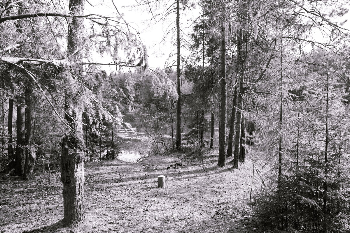 Назва. отсу. - Денис Безногов