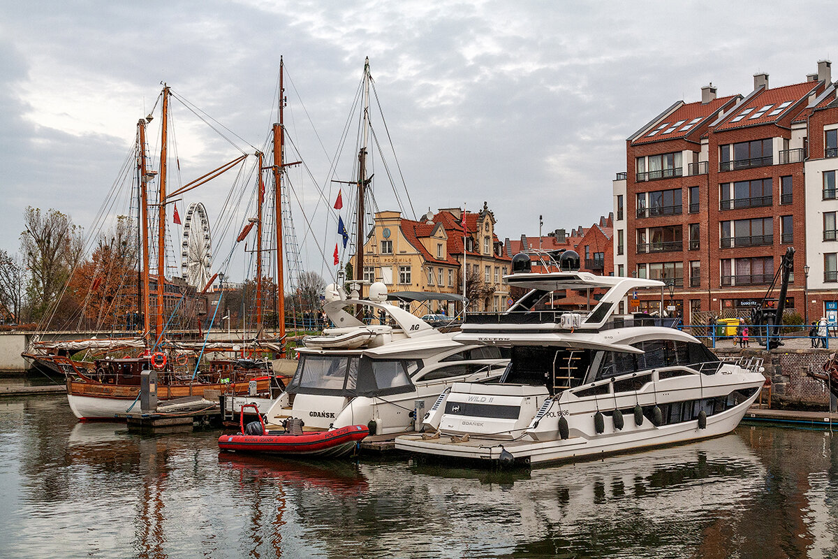 Гданьск - Дмитрий 