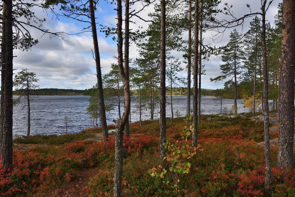 *** - Александр Хаецкий