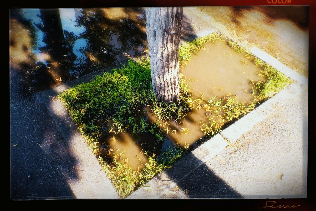 После дождика в четверг. - Игорь Солдаткин