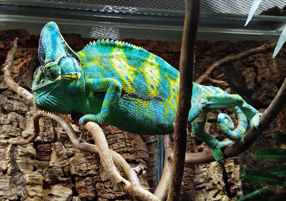 В зоопарке! - Надежда В зоопарке! - Надежда