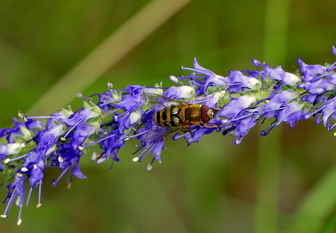 в последний день июня 11 - Александр Прокудин