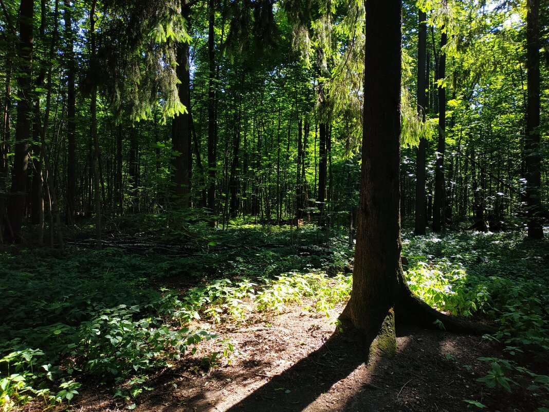 100-я  велофотосессия в сезоне! (Более 1300 км) - Андрей Лукьянов