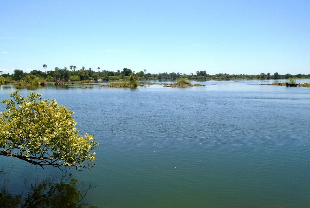 Река Замбези - Игорь Матвеев 