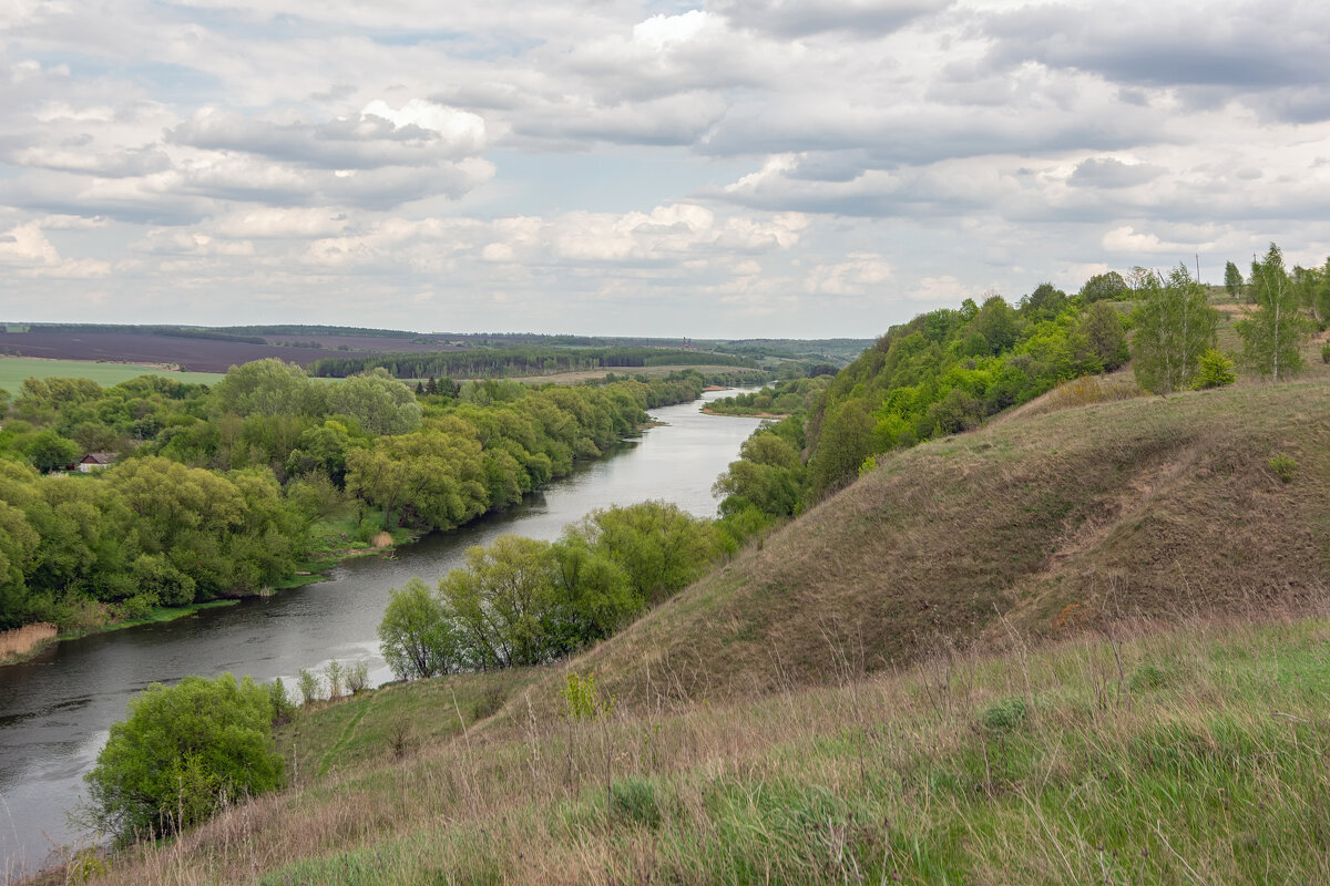 * - Виталий Емельянов