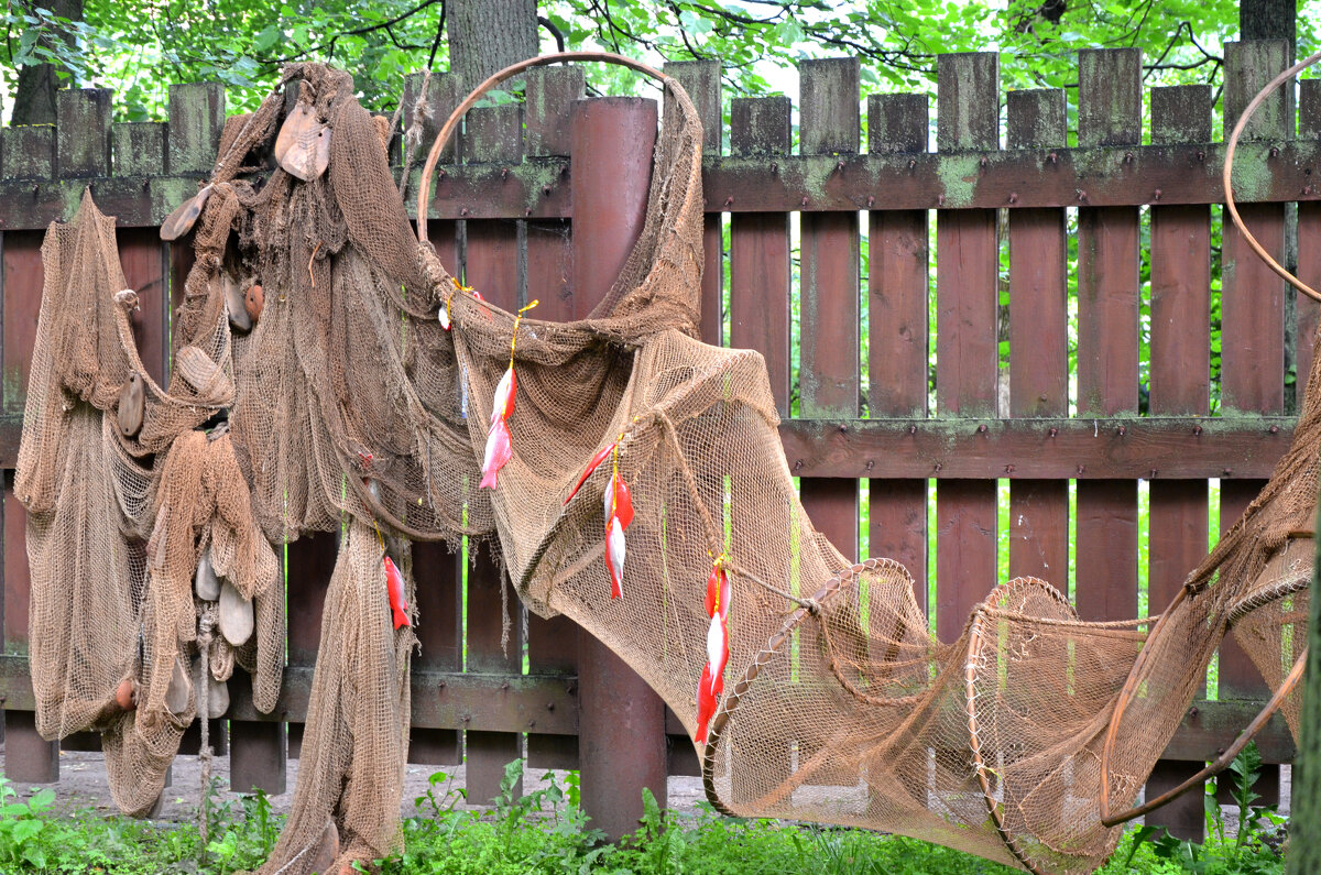 Москва. Воронцовский парк. Китайский сад. Фестиваль «Времена и эпохи» 2025. - Наташа *****