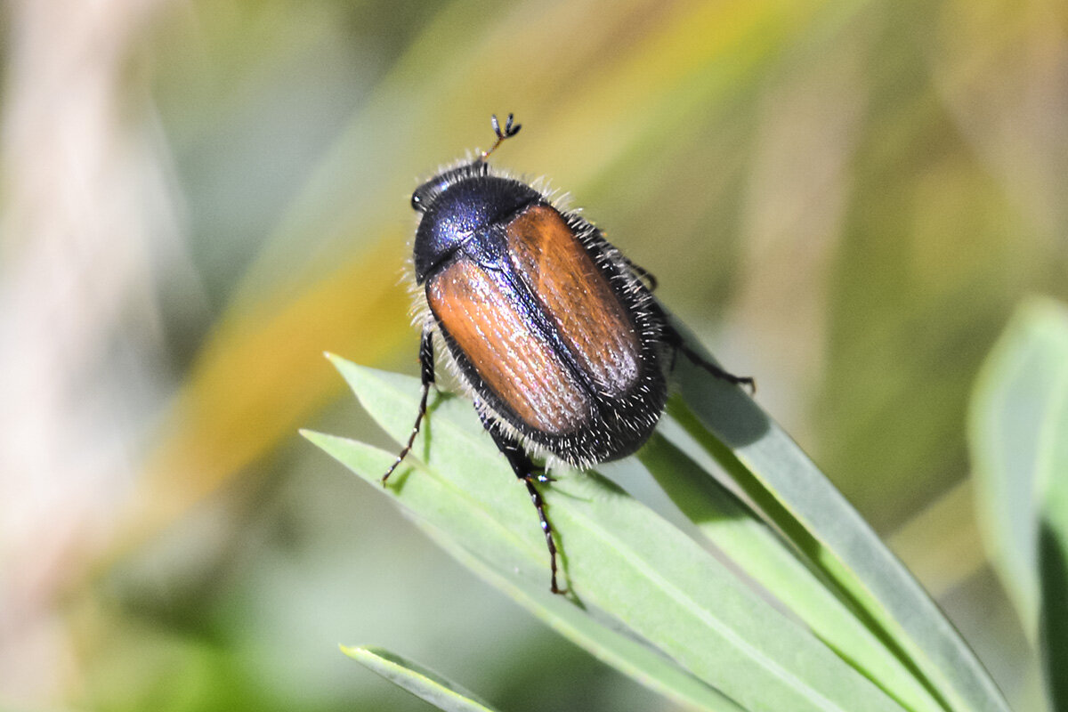 Ус  отклеился - Геннадий Супрун