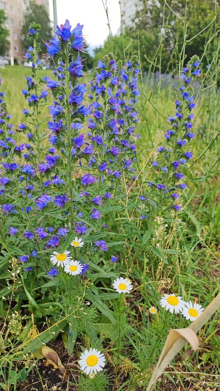 ,,, - Сергей Тимоновский