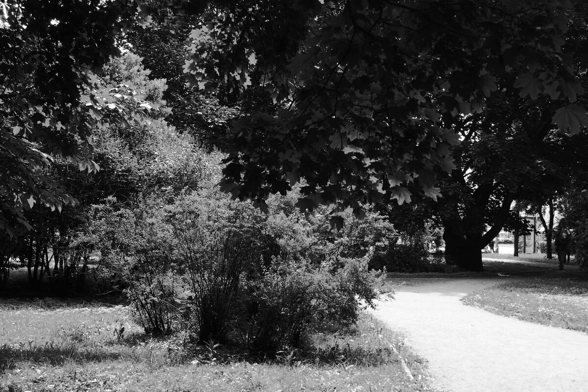 /// - Виктор Никитенко