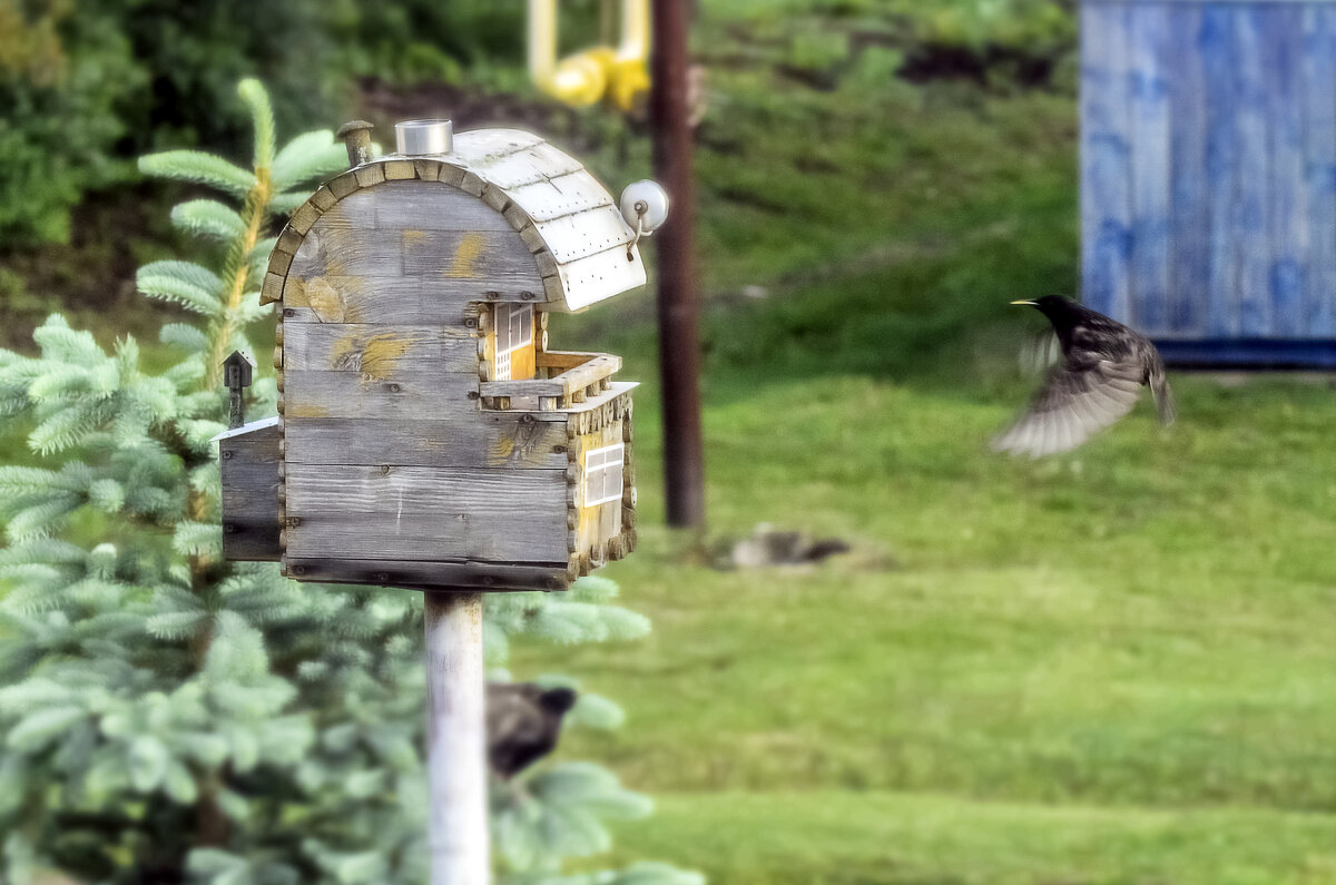 На подлёте... - Андрей Щетинин На подлёте... - Андрей Щетинин