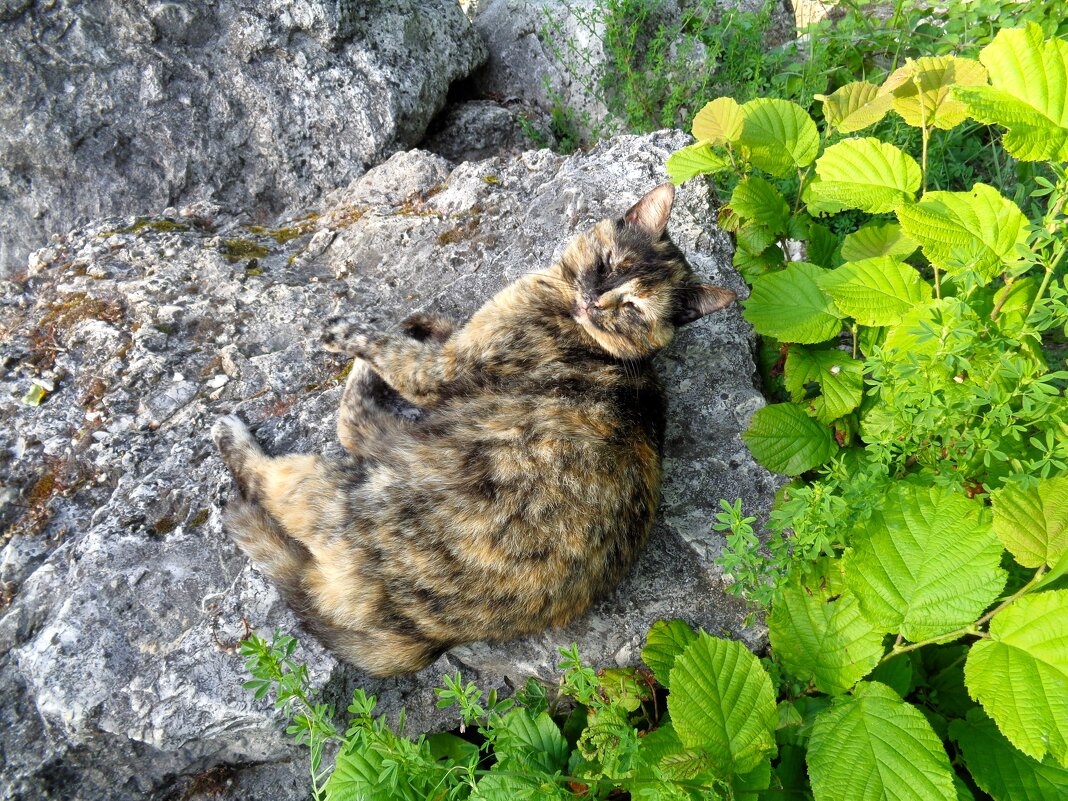 Отдых - Наталья 