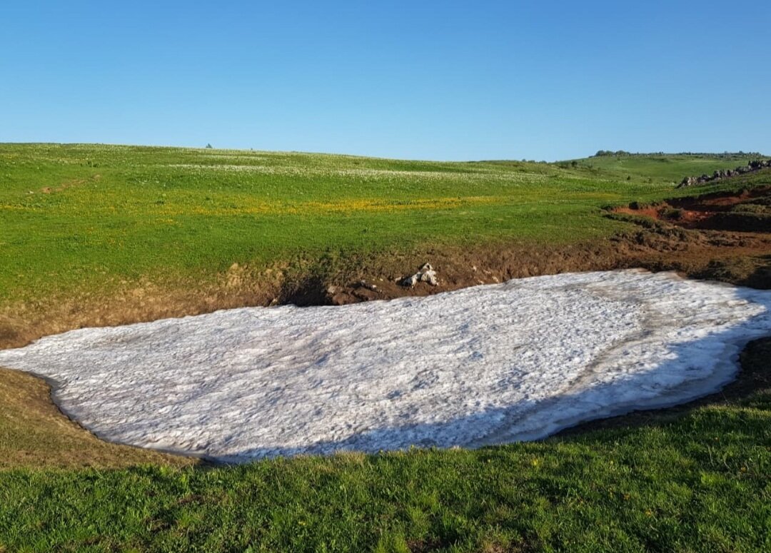 ПЛАТО ЛАГОНАКИ - Tata Wolf