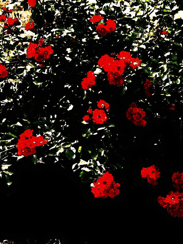 Летние этюды 52 - Алексей Кузнецов